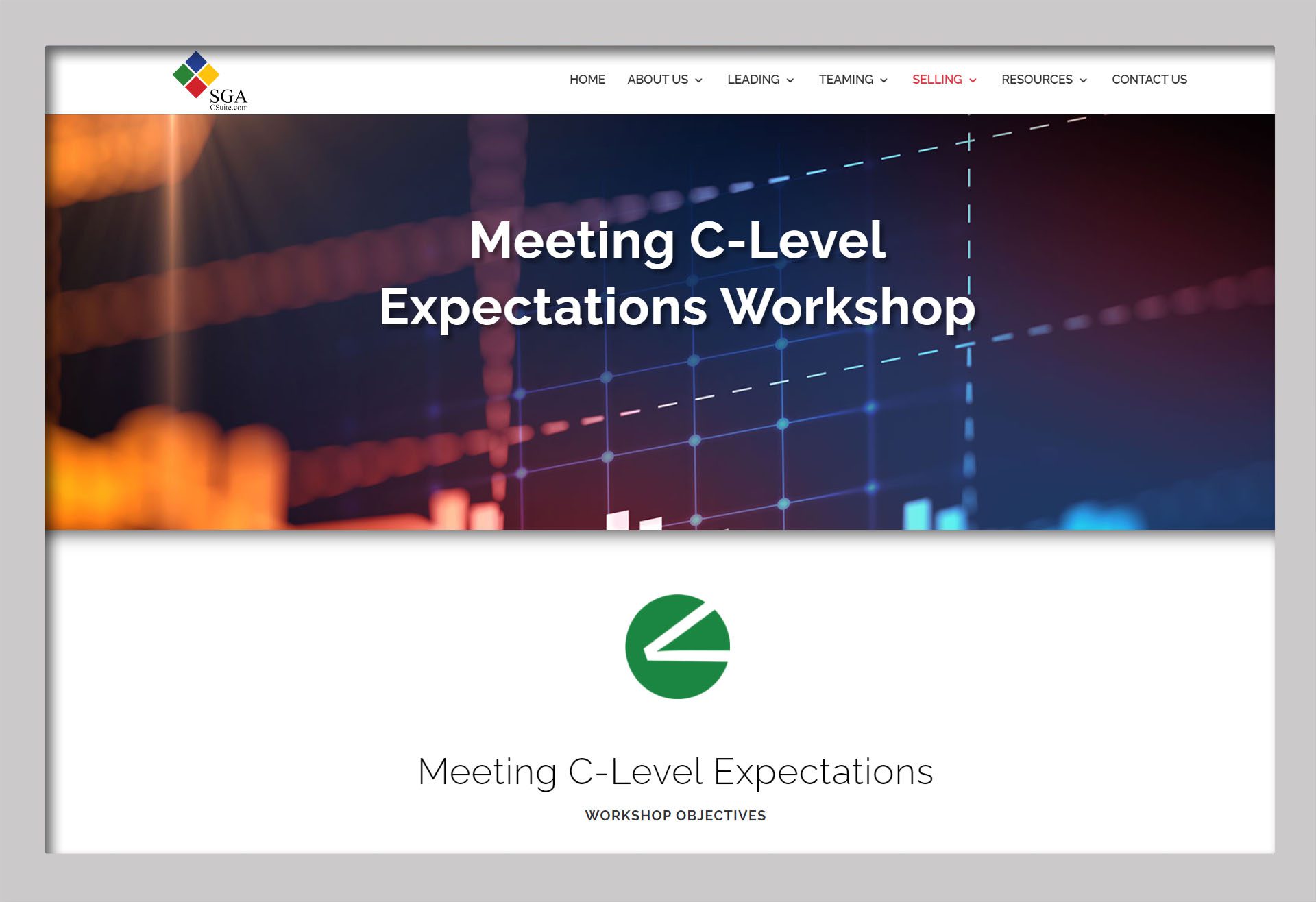 Meeting C-Level Expectations Workshop